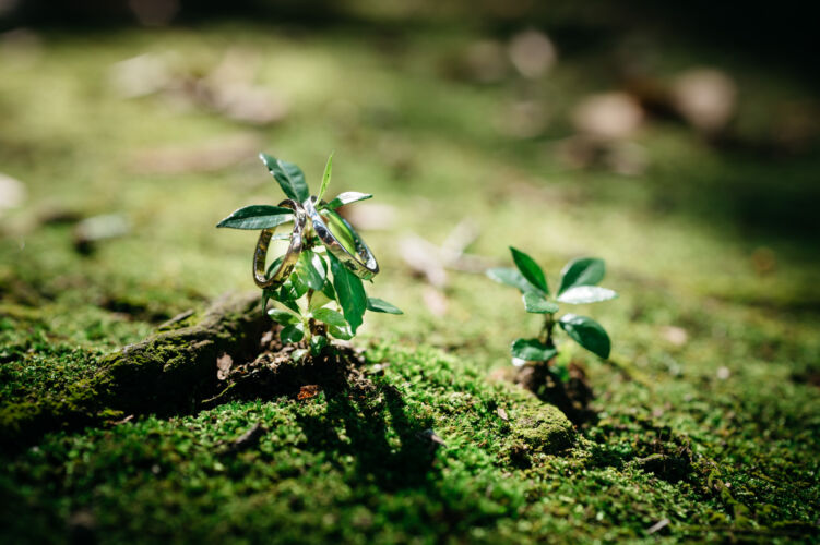 fika and fotos ウェディングカメラマン ブライダルフォトグラファー akiyo aota 結婚写真