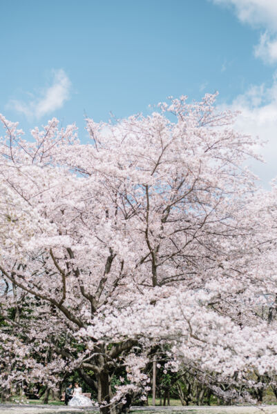 ロケーション前撮り 洋装前撮り ウェディングドレス前撮り Fika and Fotos