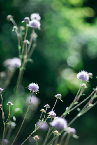 ウェディングフォトグラファー カメラマン 中馬千瑛 フォトギャラリー