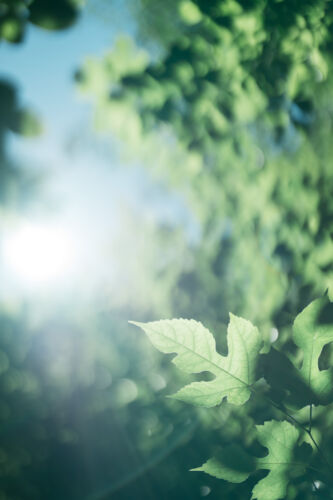 ウェディングフォトグラファー カメラマン Fika and Fotos 森泉僚也 フォトギャラリー